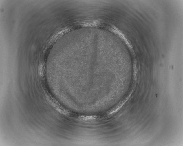 X0000085810161200704091615