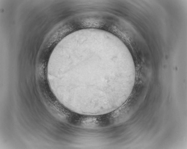 X0000085810162200704091616