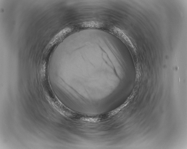 X0000085810163200704091616