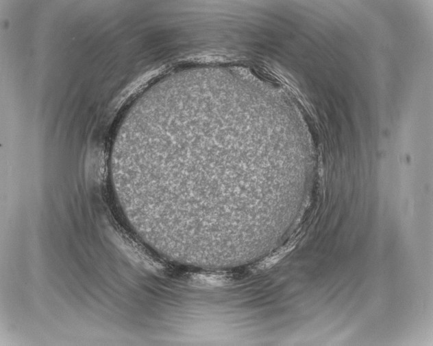 X0000085810164200704091616