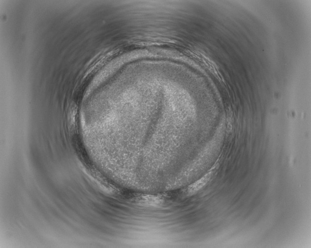 X0000085810166200704091616