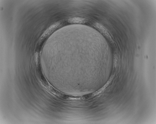 X0000085810167200704091616