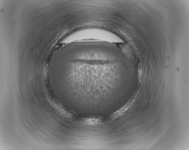 X0000085810168200704091616