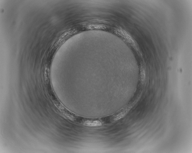 X0000085810169200704091616