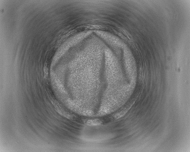 X0000085810173200704091616