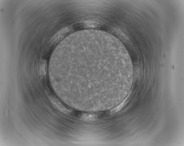 X0000085810174200704091616