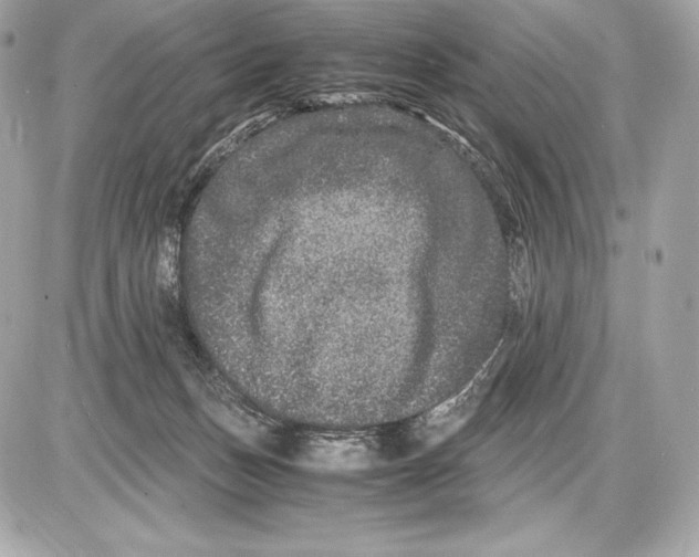 X0000085810175200704091616