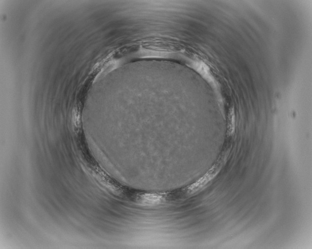 X0000085810176200704091616