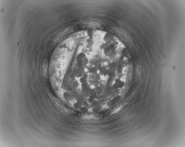 X0000085810177200704091616