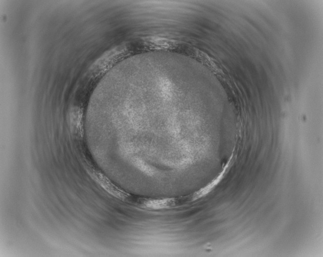 X0000085810178200704091616