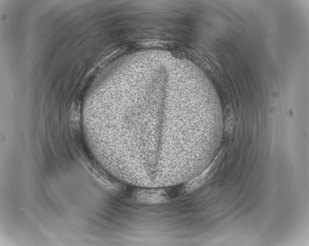 X0000085810179200704091616