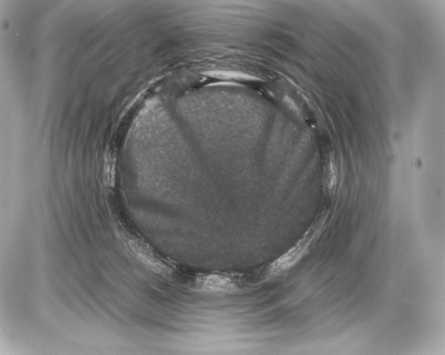 X0000085810180200704091616