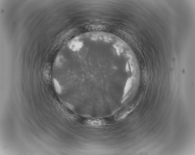 X0000085810181200704091616