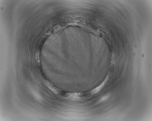 X0000085810182200704091616