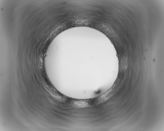 X0000085810183200704091616