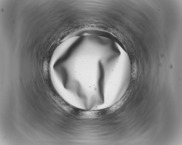 X0000085810184200704091616