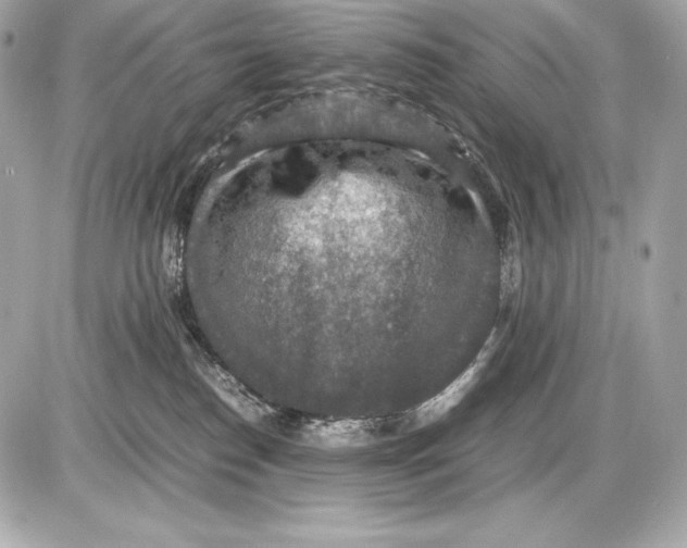 X0000085810186200704091616