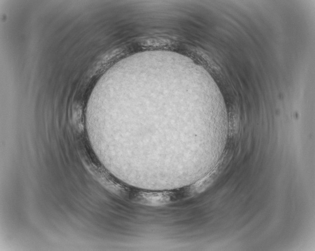 X0000085810187200704091616