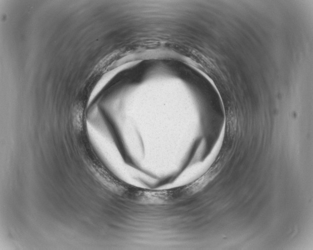 X0000085810188200704091616