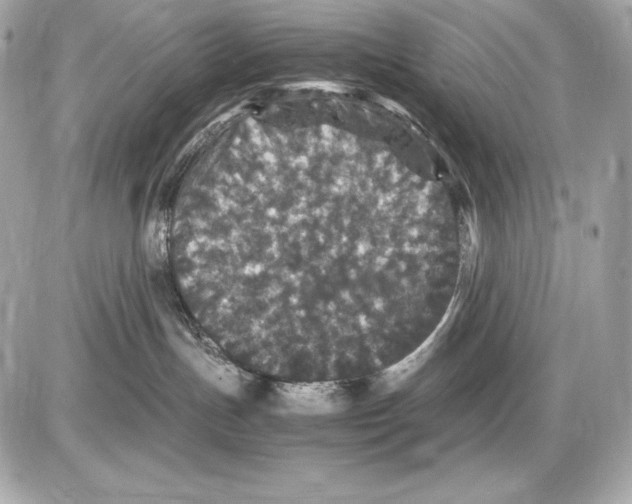 X0000085810191200704091616