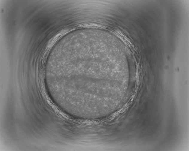 X0000085810193200704091615