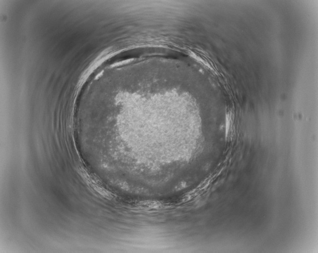 X0000085810195200704091615