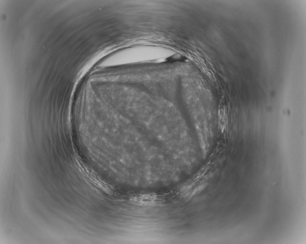 X0000085810196200704091615