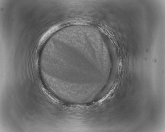 X0000085810197200704091615