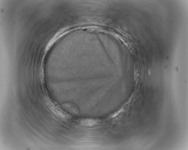 X0000085810198200704091615