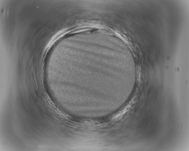 X0000085810199200704091615