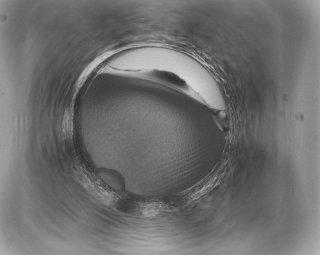 X0000085810200200704091615