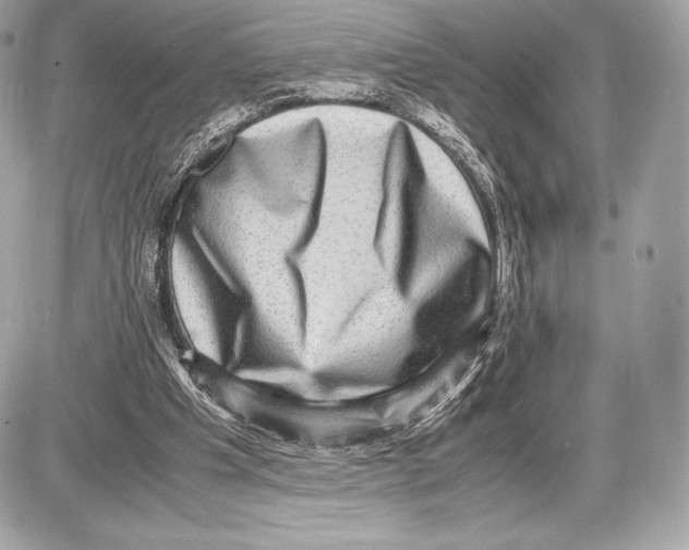 X0000085810201200704091615