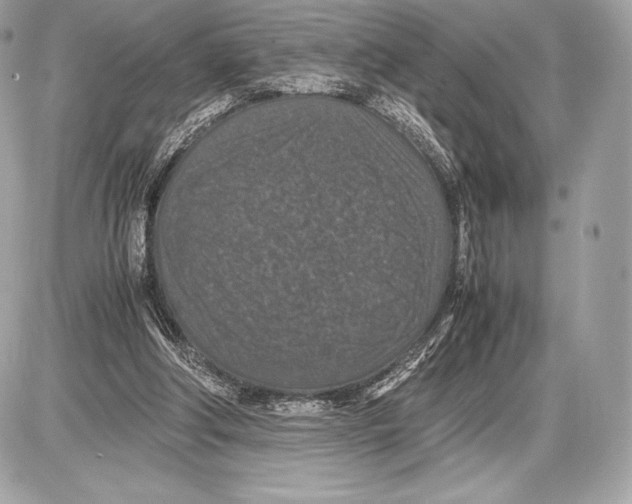 X0000085810202200704091615