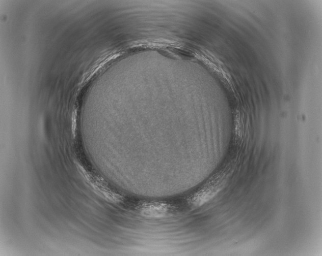 X0000085810206200704091615