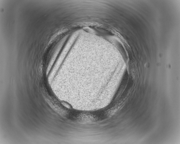 X0000085810207200704091615