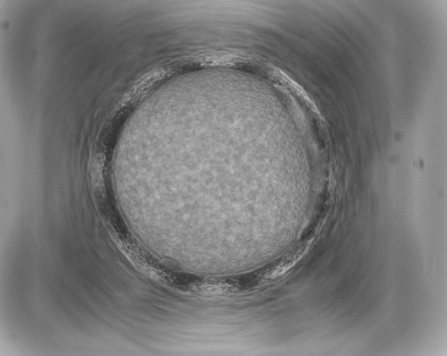 X0000085810209200704091615