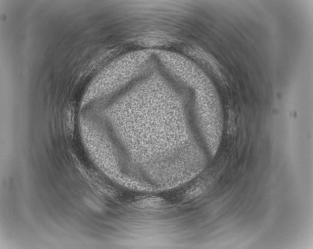 X0000085810210200704091615