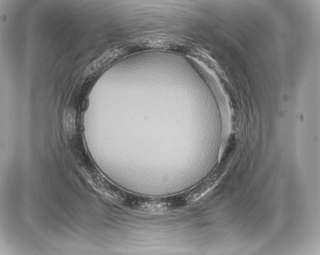 X0000085810213200704091615