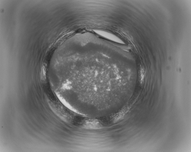 X0000085810214200704091615