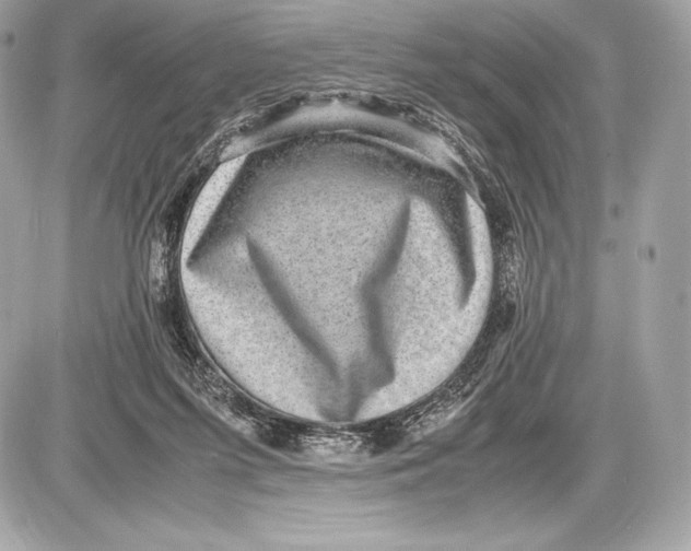 X0000085810215200704091615