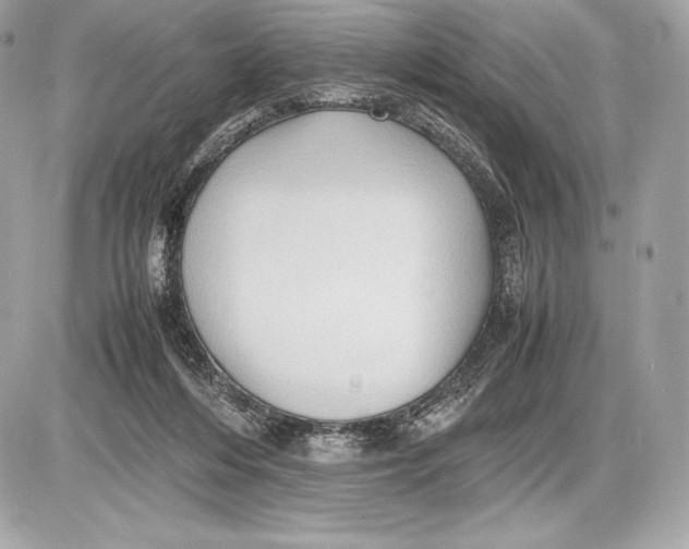 X0000085810216200704091615