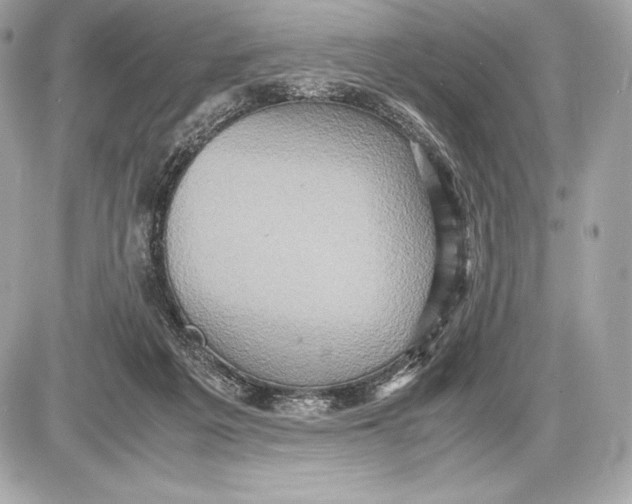 X0000085810217200704091615