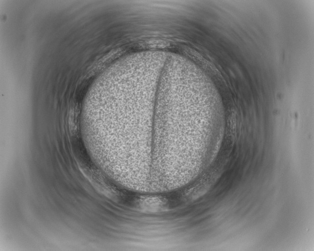 X0000085810218200704091615