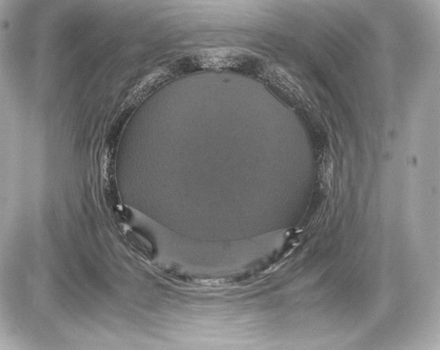 X0000085810219200704091615