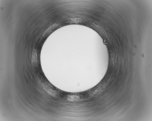 X0000085810220200704091615