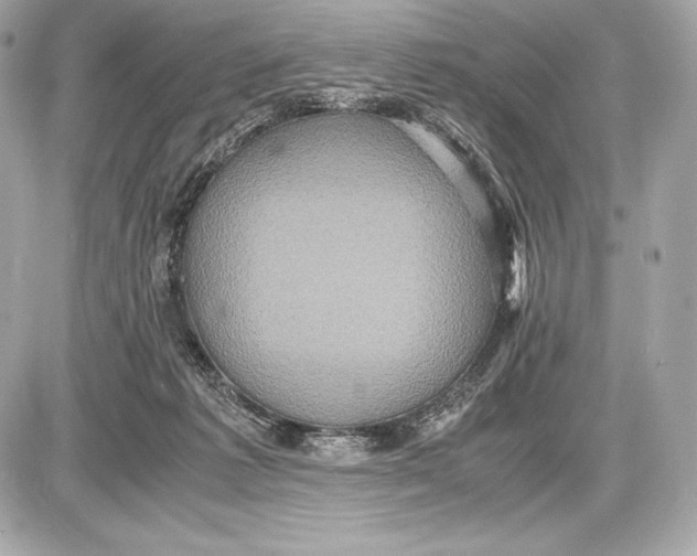 X0000085810221200704091615