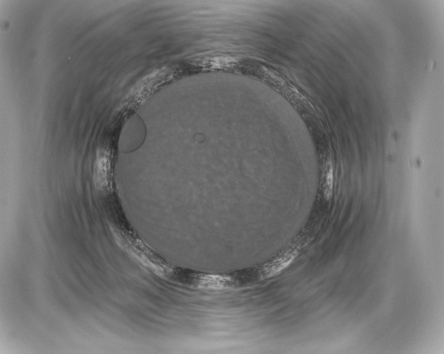 X0000085810222200704091615