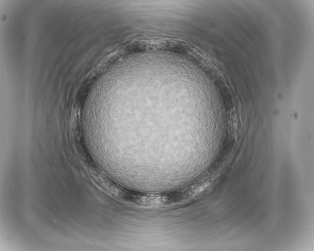 X0000085810225200704091615