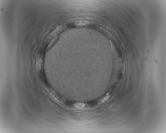 X0000085810227200704091615