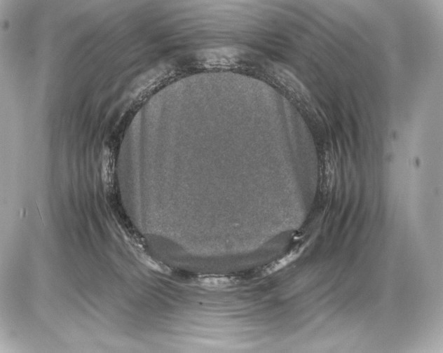 X0000085810228200704091615